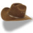 Hat cowboy brown Icon